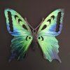 3001 drevena dekorace motyl zeleny 9 cm