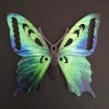 Dřevěná dekorace motýl  zelený 9 cm