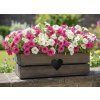 8301 3 dreveny obal na truhlik se srdcem tmavy 52x21 5x17cm cesky vyrobek