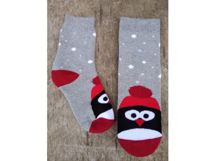 Zimní froté ponožky PENGUIN červené v.16-21cm
