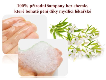 V šampon jitrocel