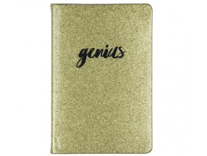 zápisník TD genius a