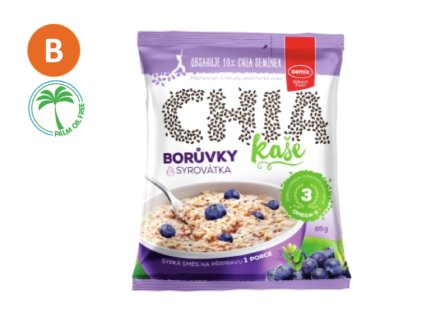 kaše chia borůvky