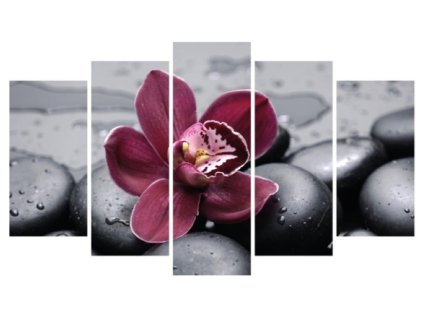 obraz 5D orchidej a