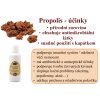 propolis tinktura b
