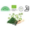 chlorella b