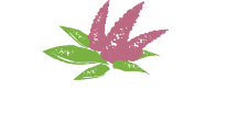 Amaranth life s.r.o