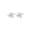 Amaro diamonds Cerven15381 2