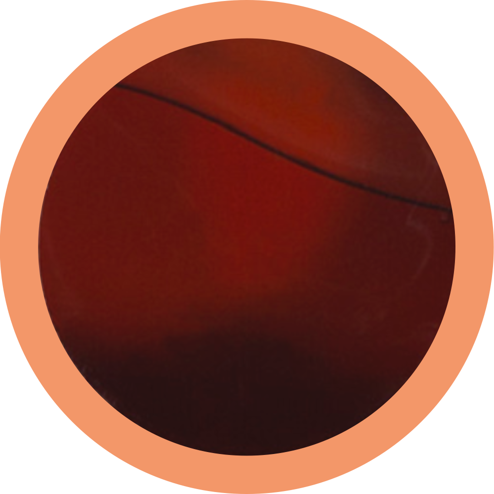 negroni_1