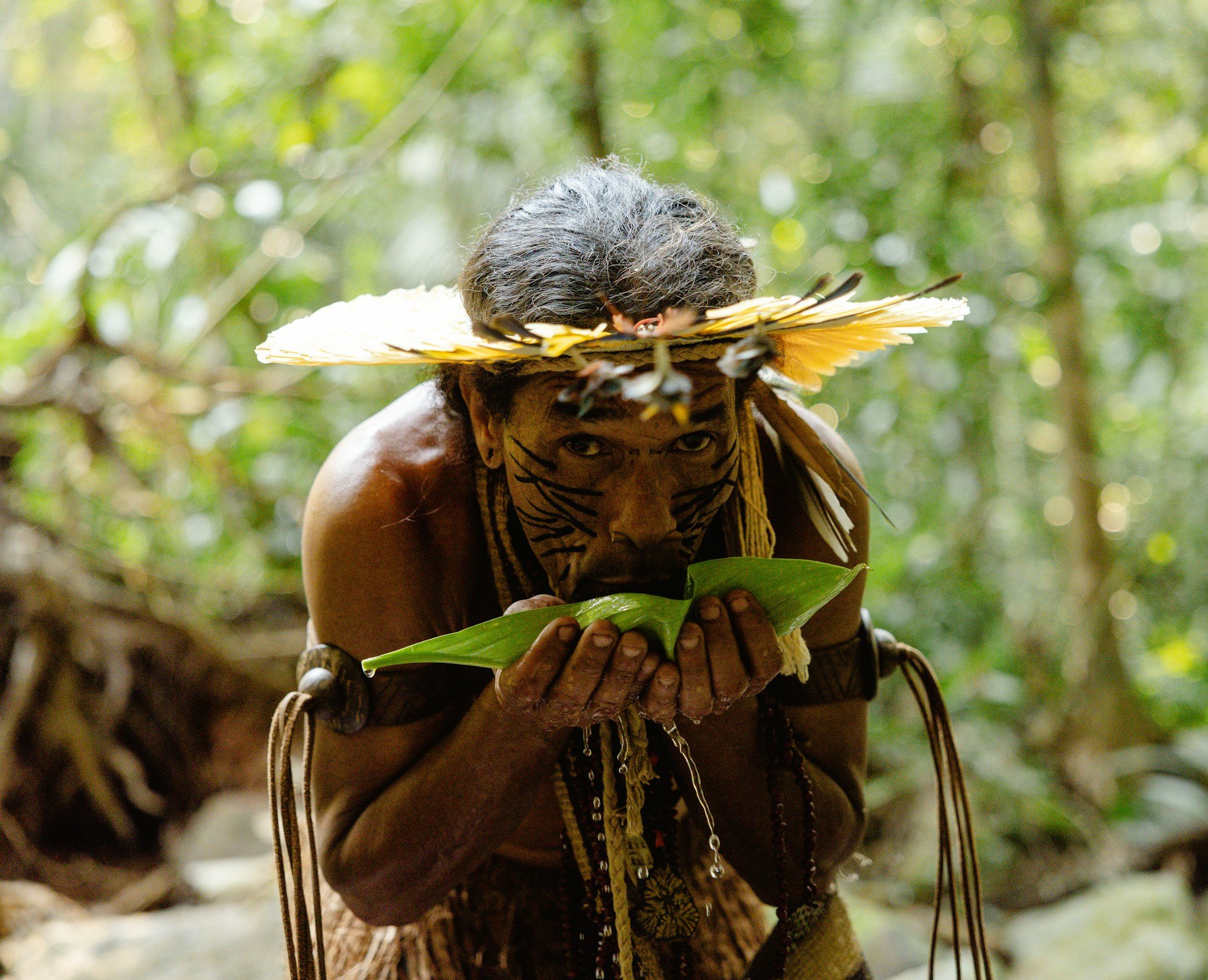 10 liečivých byliniek z Amazónie, ktoré by ste mali poznať