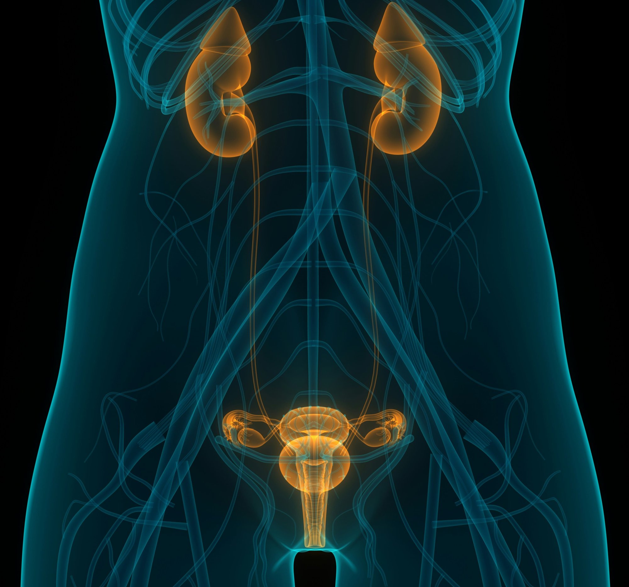 Čo je najsilnejší liek na zápal močových ciest? Pomoc z lekárne verzus prírodné riešenia