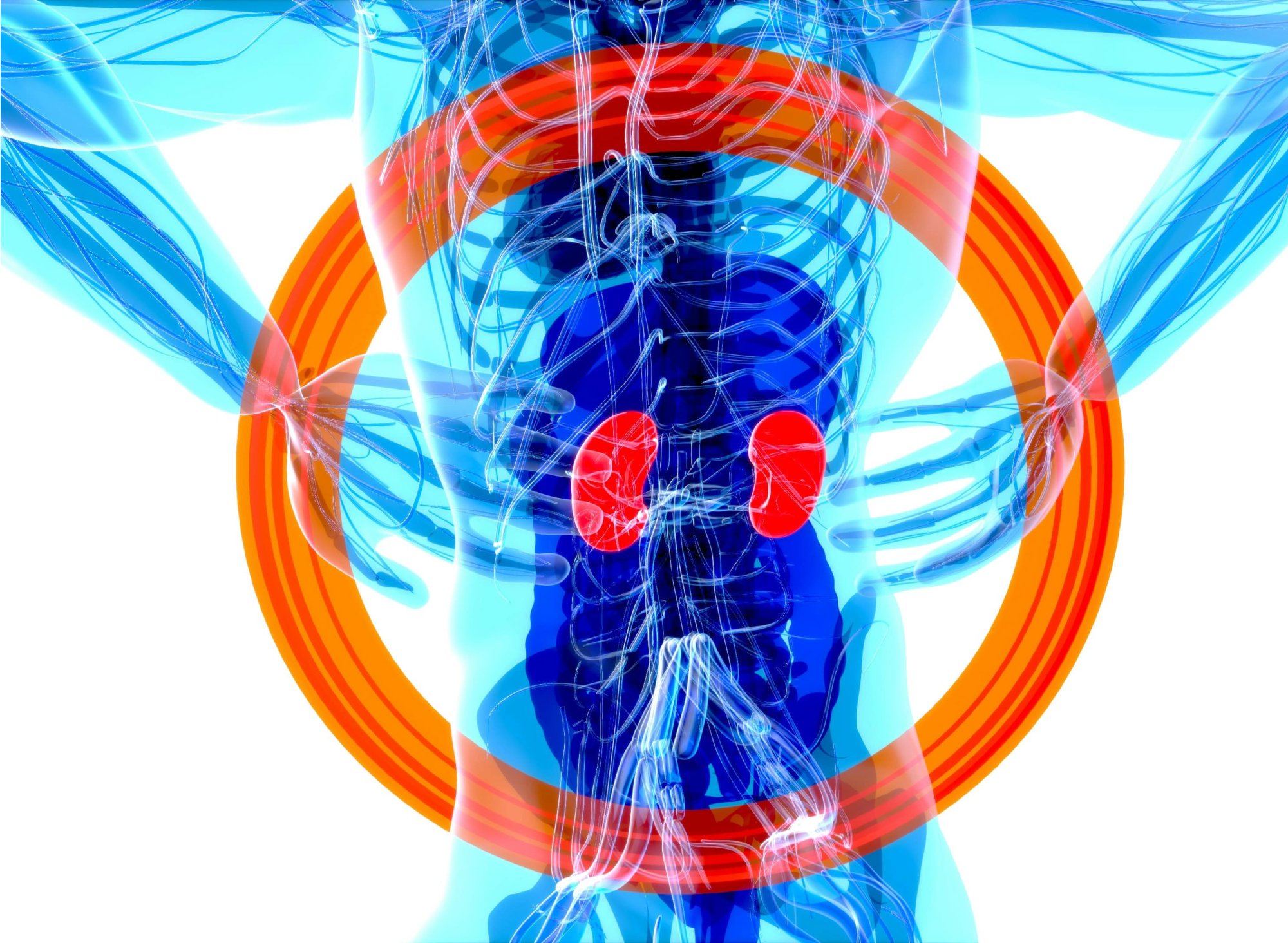 Kde bolia obličky a ako rozpoznať varovné signály?