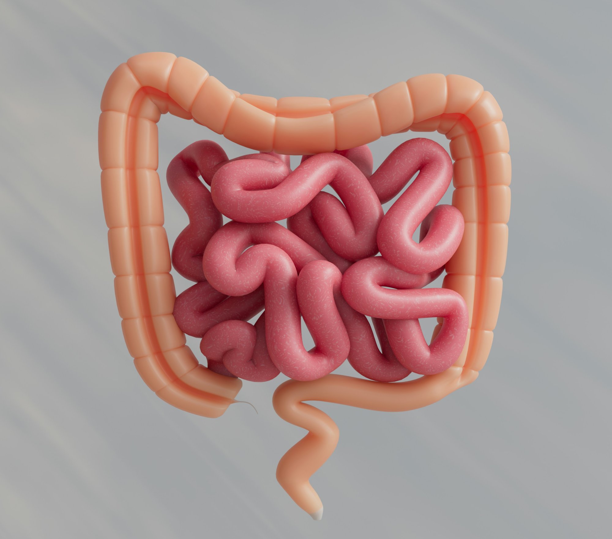 Trápi vás zlé trávenie? Spoznajte príznaky a zistite, ako ho dať do poriadku