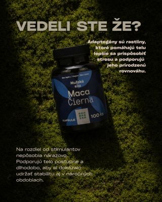 Adaptogény sú rastliny, ktoré pomáhajú telu lepšie sa prispôsobiť stresu a podporujú jeho prirodzenú rovnováhu. Namiesto...