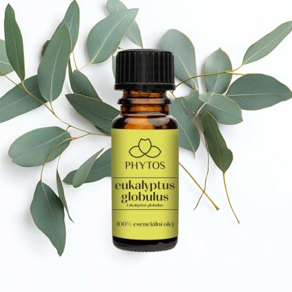 100% esenciální olej Eukalyptus globulus s lístky eukalyptu na přírodním pozadí