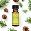 Lahvička 100% esenciálního oleje Borovice lesní z borovice lesní s větvičkou jehličí na bílém podkladu
