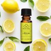 Lahvička s citronovým olejem na bílém podkladu s plátky citronu