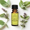 100% esenciální olej Šalvěj lékařská s přírodní dekorací