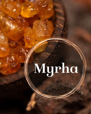 🌿 MYRHA – POSVÁTNÁ VŮNĚ Z POUŠTÍ AFRIKY Z hloubky východní Afriky pochází pryskyřice, která provází lidstvo už tisíce let....