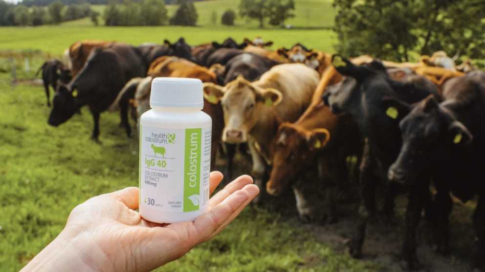 Kravské mlezivo: Přírodní posilovač imunity