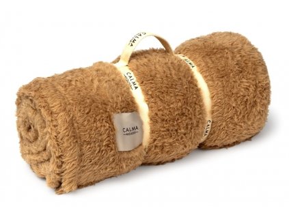 tedy beige 03