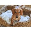 pet bed braid natural ayana ecru 02