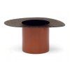 C mushroom a014
