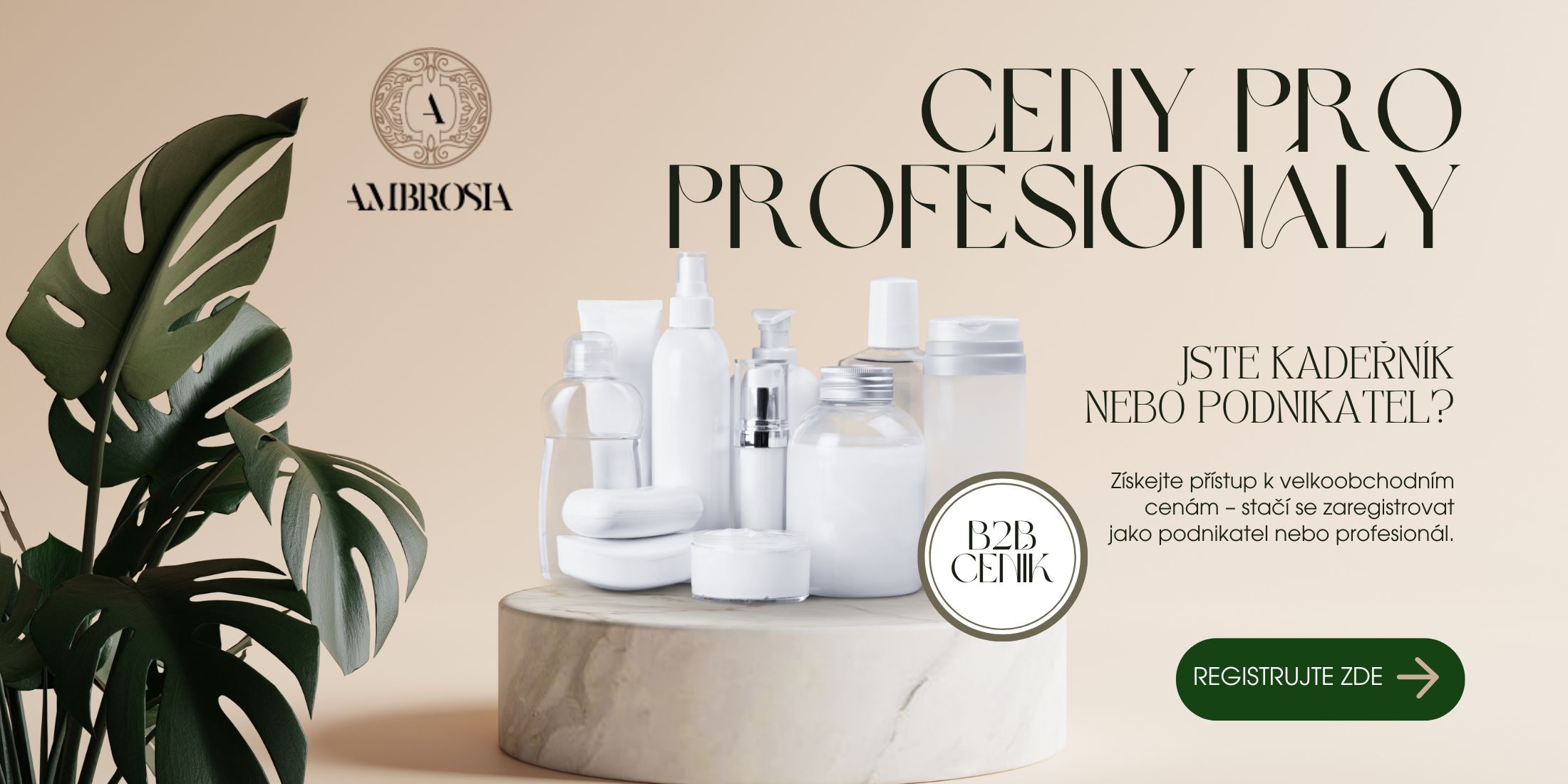 B2B ceník pro podnikatele
