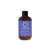 dolcevita shampoo anti yellow