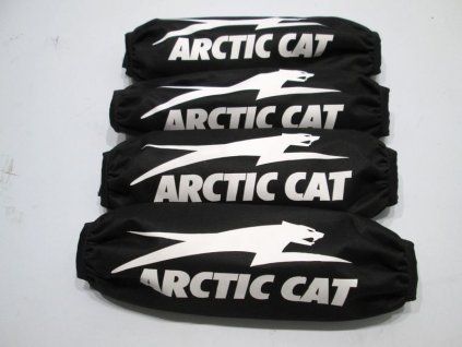arctic%201