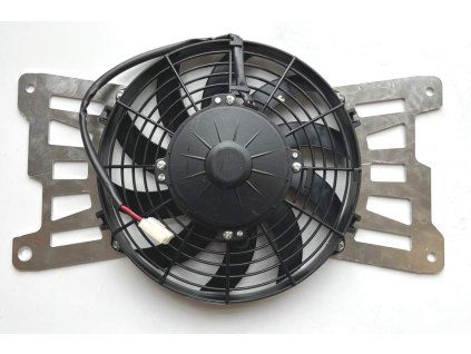 FAN11