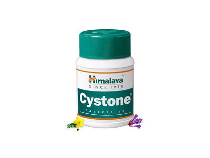 himalaya cystone 100 tablet
