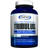 gaspari tribulus