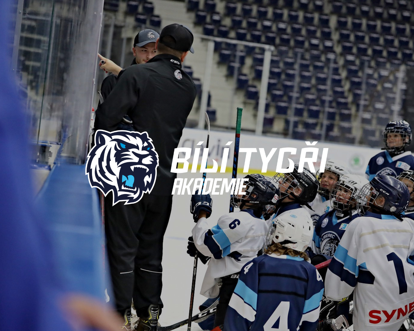 Bílí Tygři Liberec Akademie