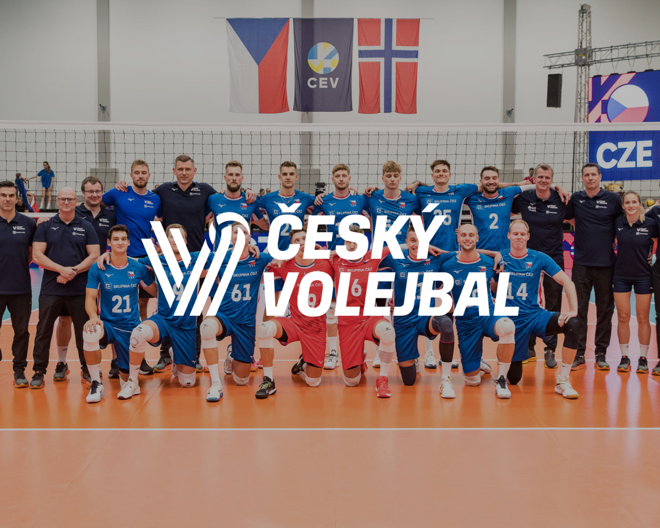 Český volejbalový svaz