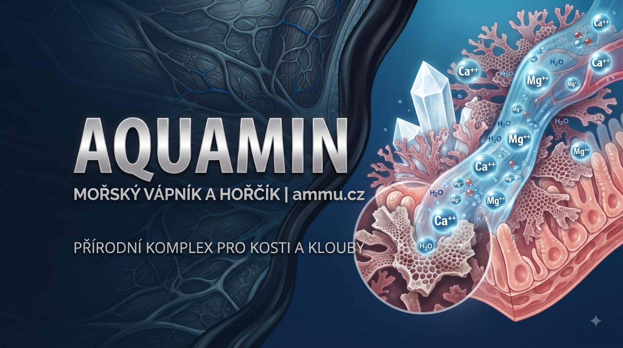Aquamin® hořčík a vápník: Jak na pevné kosti a svaly bez křečí?