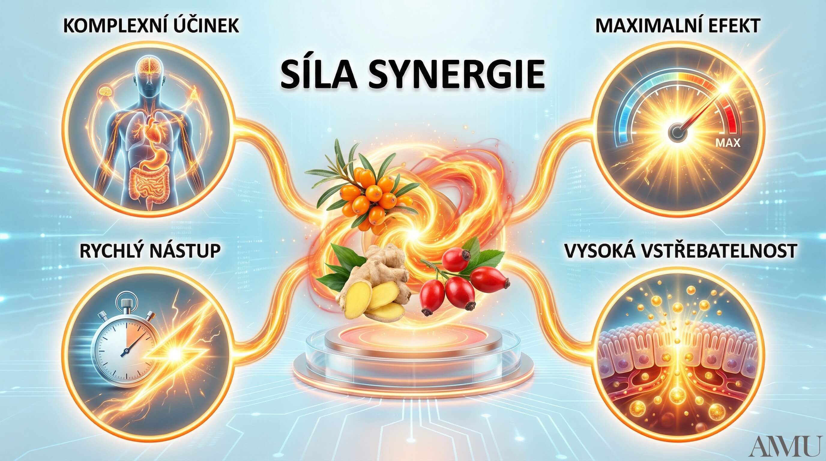 c_synergie