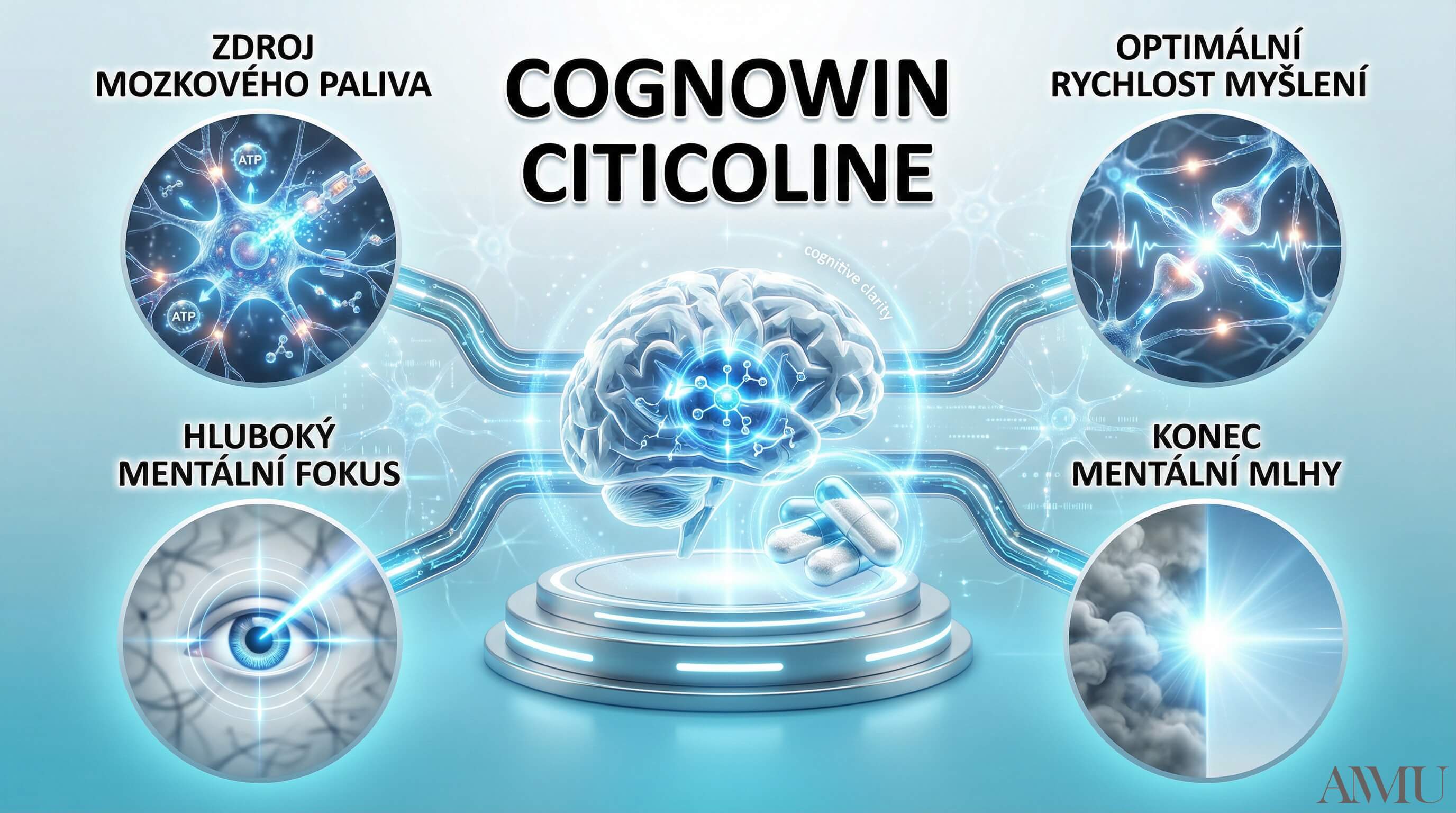 cognitivita_cognowin