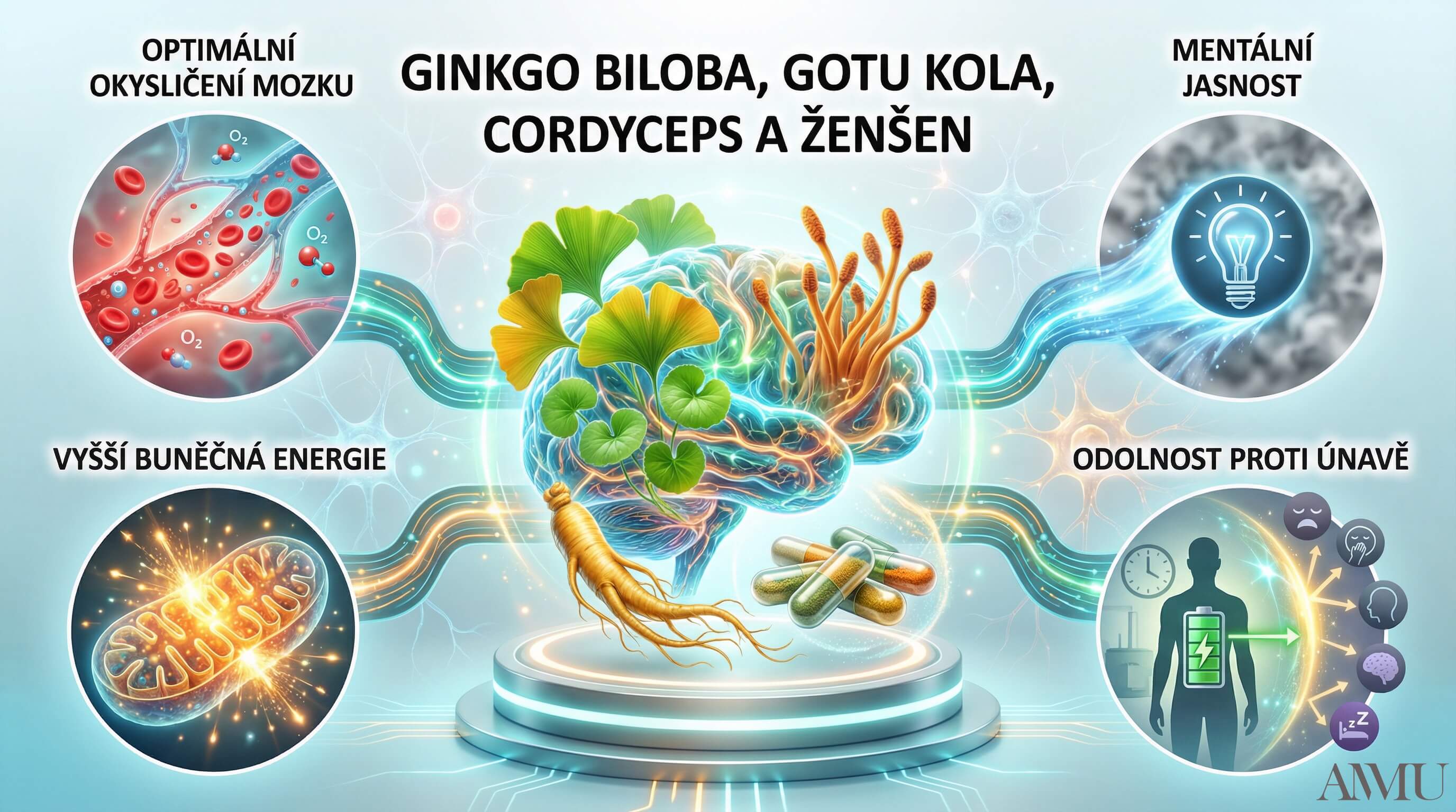 cognitivita_gotukola