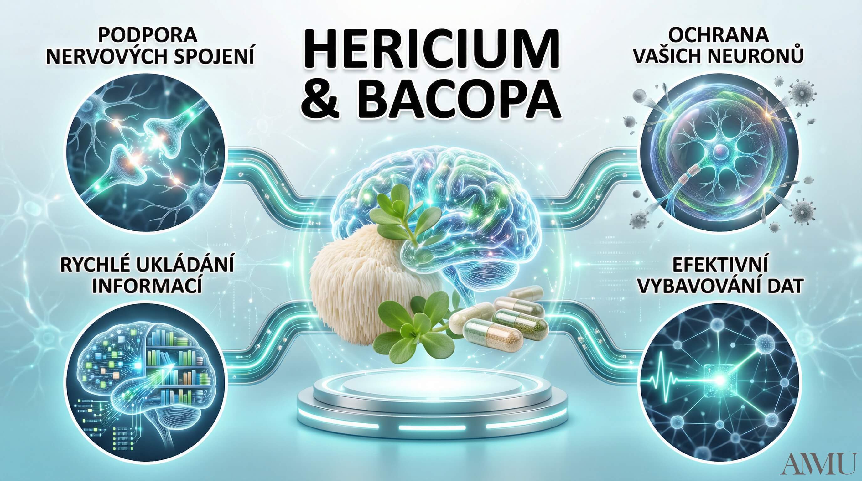 cognitivita_hericium
