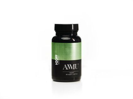 h2off ammu WEB