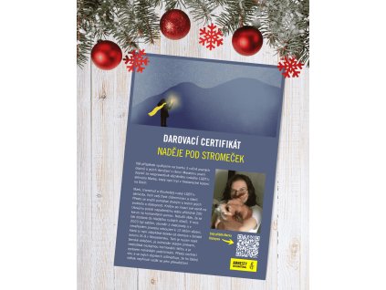 Návrh bez názvu (13)