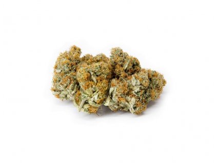 TANGERINE DREAM KVĚTY