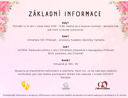 Základní informace k podpůrné skupině při kojení a mateřství