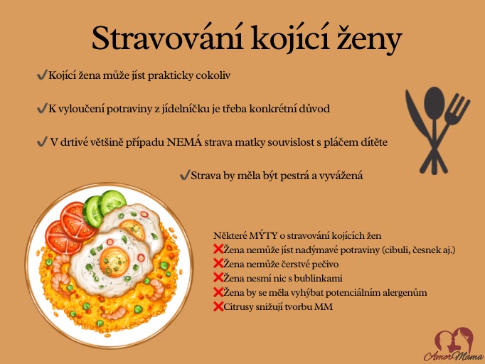 Přehled stravování kojící ženy
