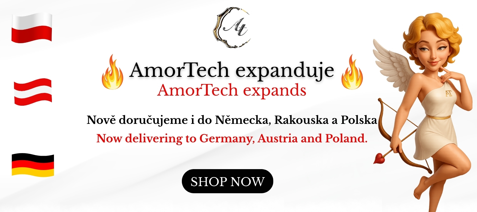 Doprava do Německa Polska a Rakouska z AmorTech