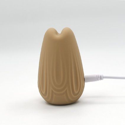 08036695 6ccf 421d a533 4b8297cef49e