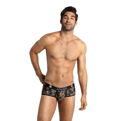 Sexy pánské slipy Power brief - Anais