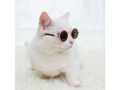 Sluneční sexy brýle pro kočky a psy