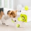 Dog Tennis Ball Thrower Cat Bounce Sport Toys Automatic Throw Machine Food Reward Machine Teeth Chew.jpg Q90.jpg
